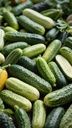 Cucumbers